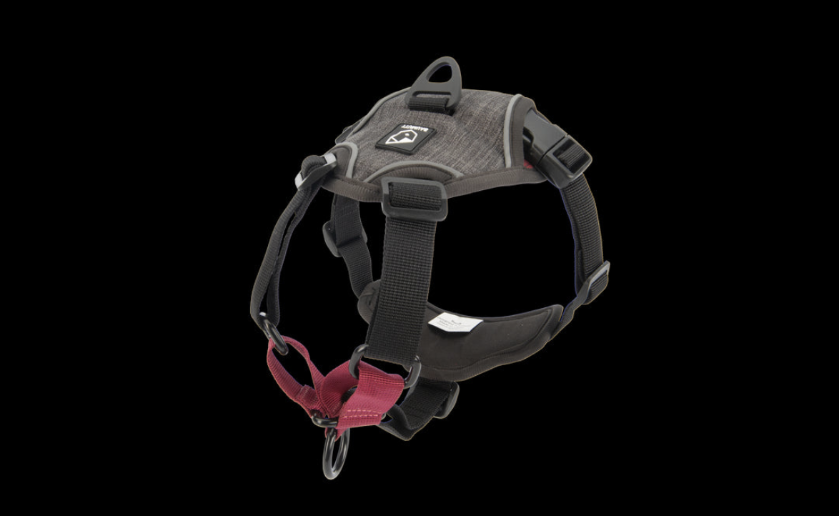 Baumutt In Line No Pull Harness - available in 4 sizes