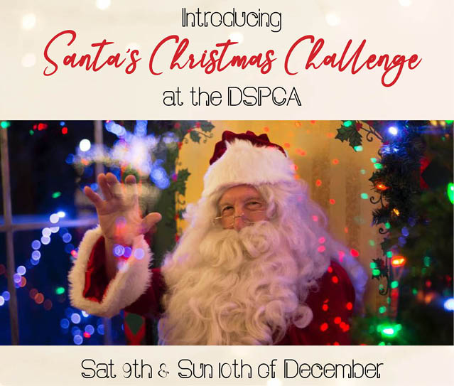 Santa’s Christmas Challenge at the DSPCA!