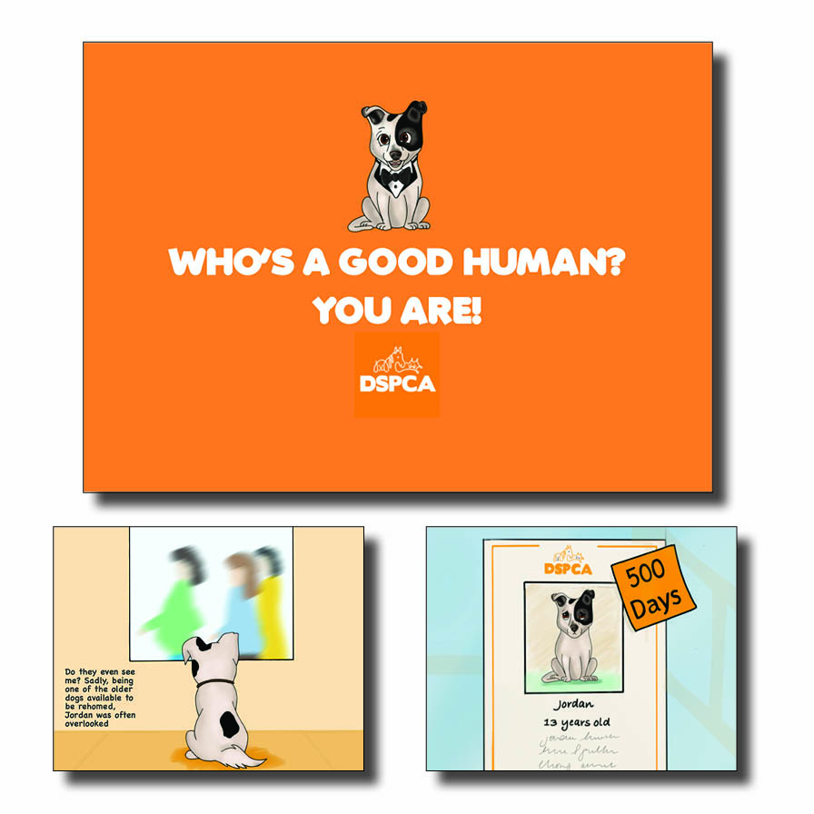 storybook-dspca