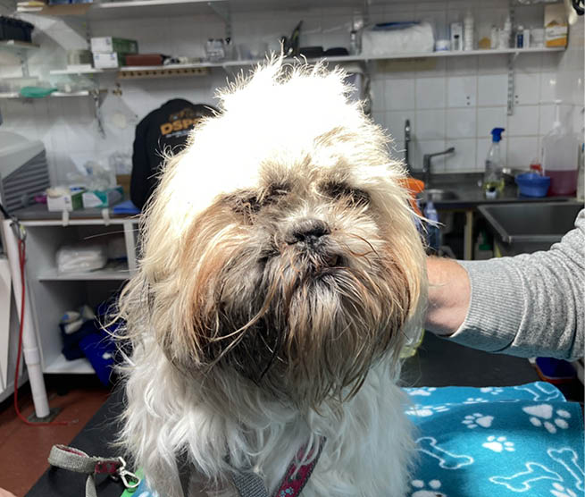 Charlie – Court Case