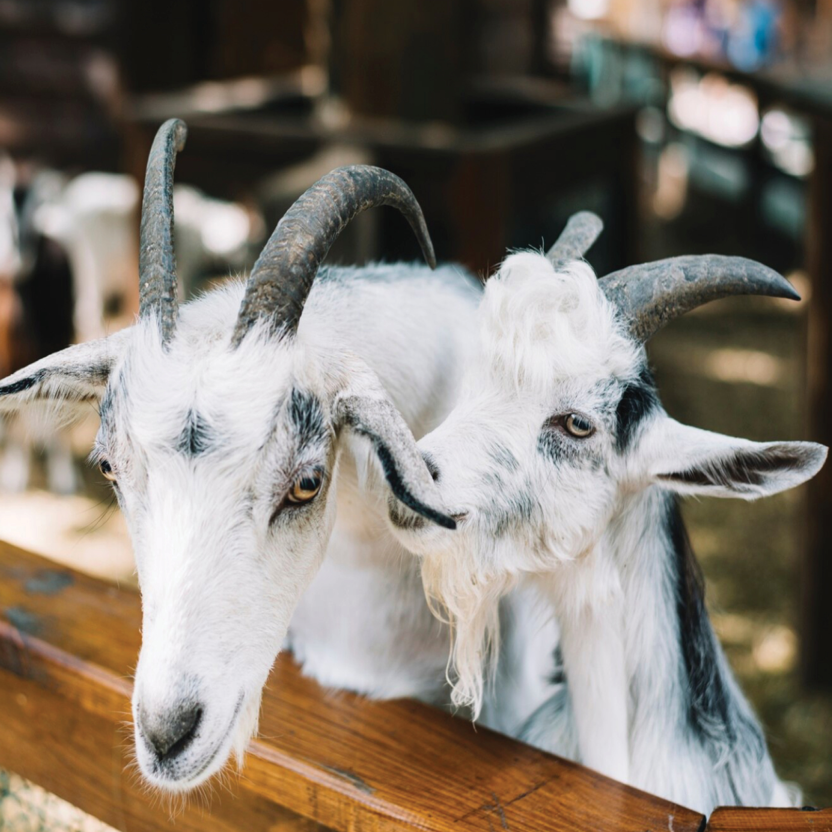 Additional information